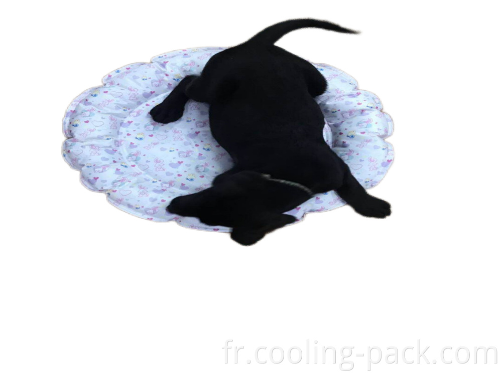 Cooling Pad9 Png